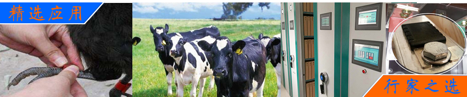 環氧有機胺促進劑在重防腐涂料、地坪涂料和灌封材料中的應用與性能優勢分析