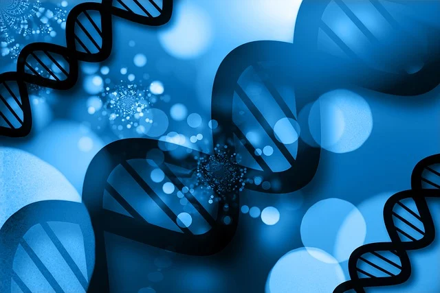 高活性CASE(非泡PU)通用催化劑，顯著縮短材料的脫模和固化時間